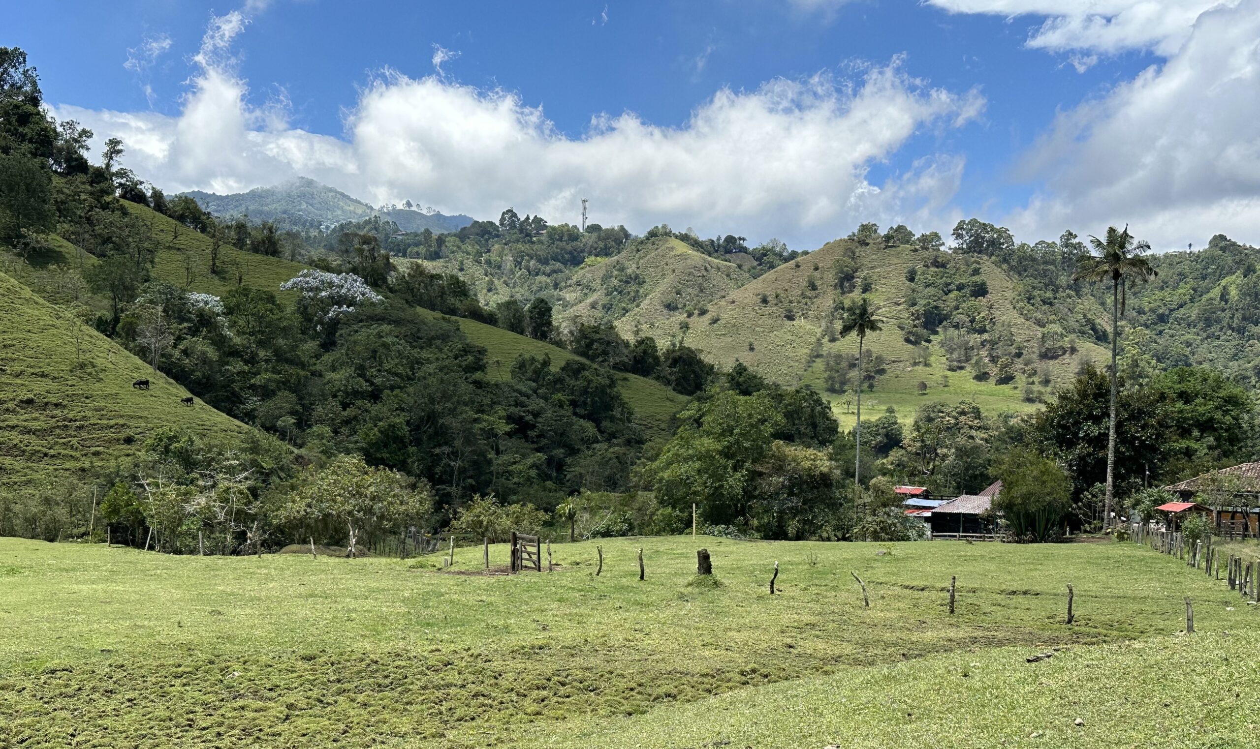 img 0262