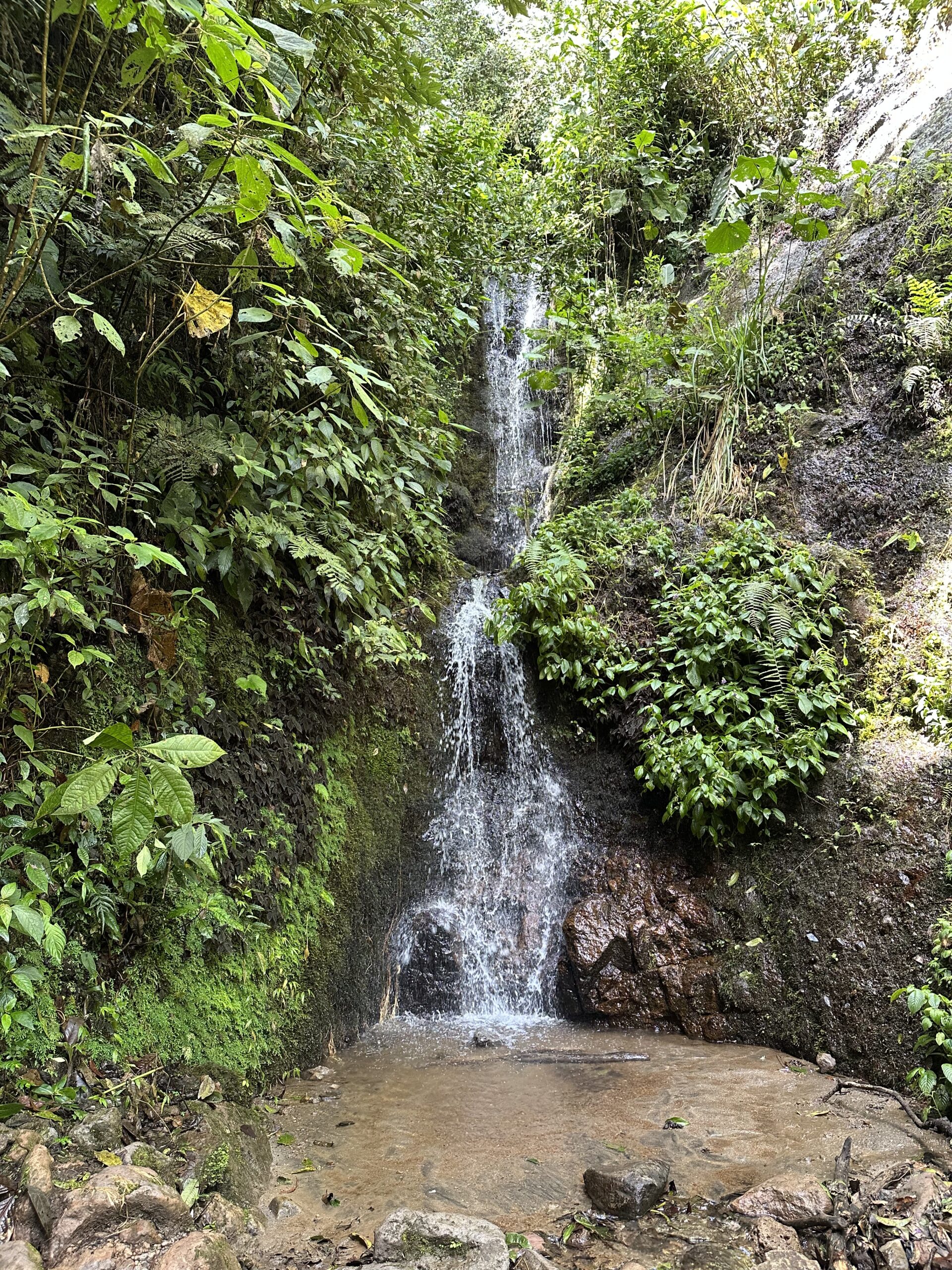 img Vu sur une petite cascade croisée proche de la grotte du sentien Alégria
