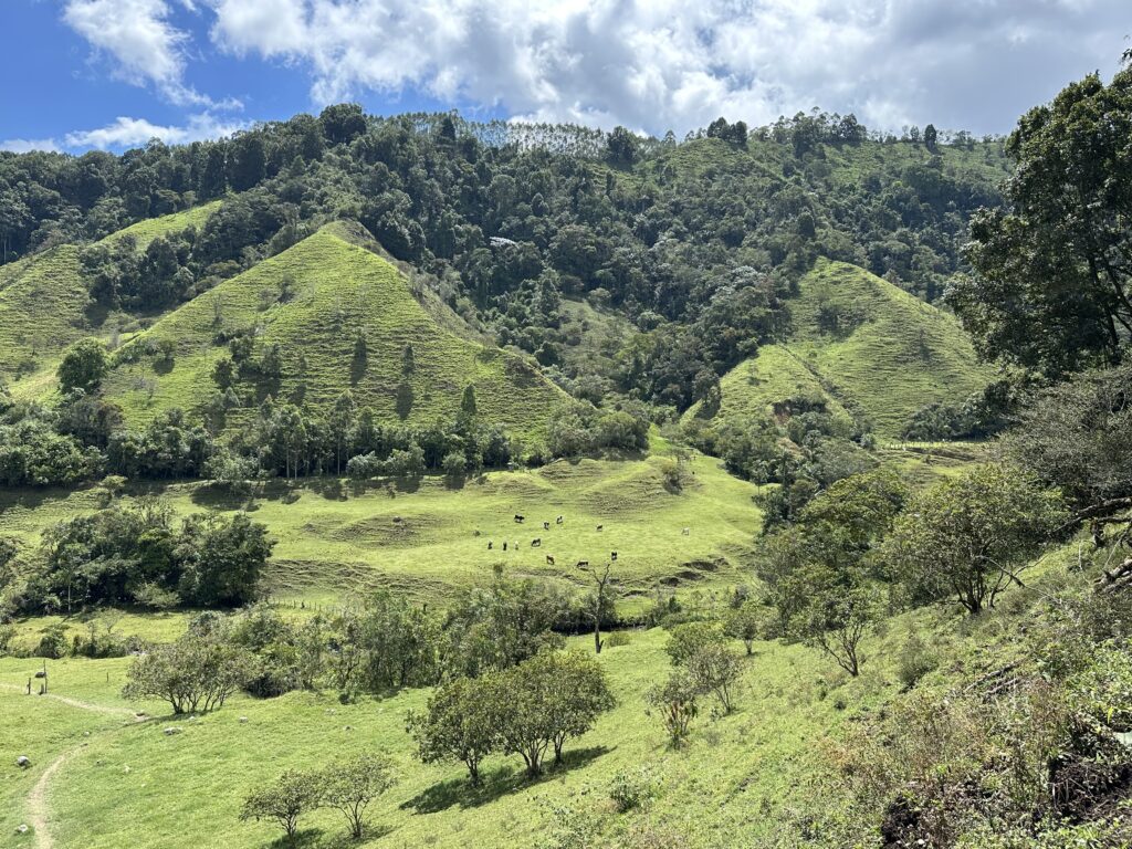 Visiter Salento et la Vallée de Cocora : Notre itinéraire de 4 jours et conseils pratiques img 0294