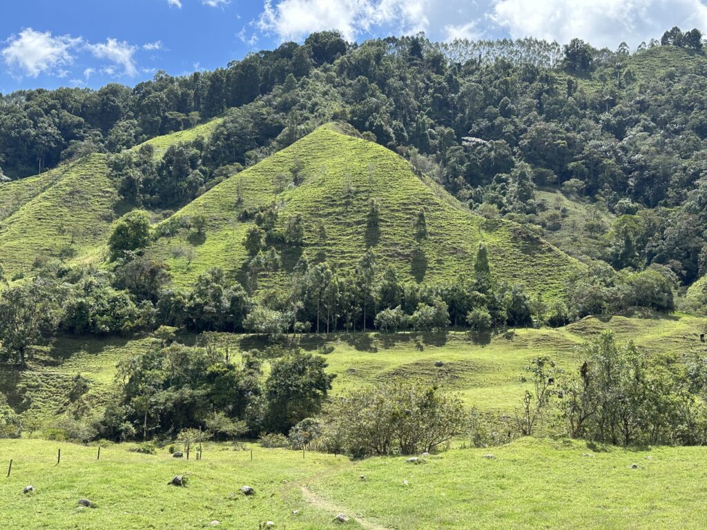 img 0295