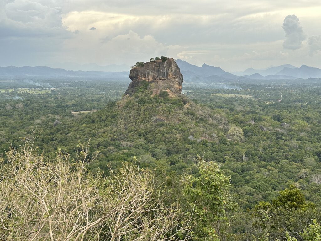 Visiter le Sri Lanka : 10 raisons de choisir cette destination incroyable img 4639