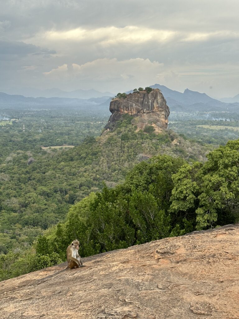 Visiter le Sri Lanka : 10 raisons de choisir cette destination incroyable img 4650