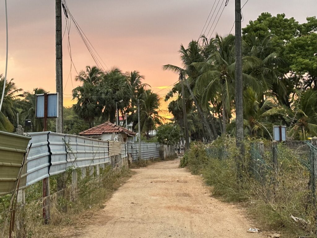 Visiter le Sri Lanka : 10 raisons de choisir cette destination incroyable img 4964