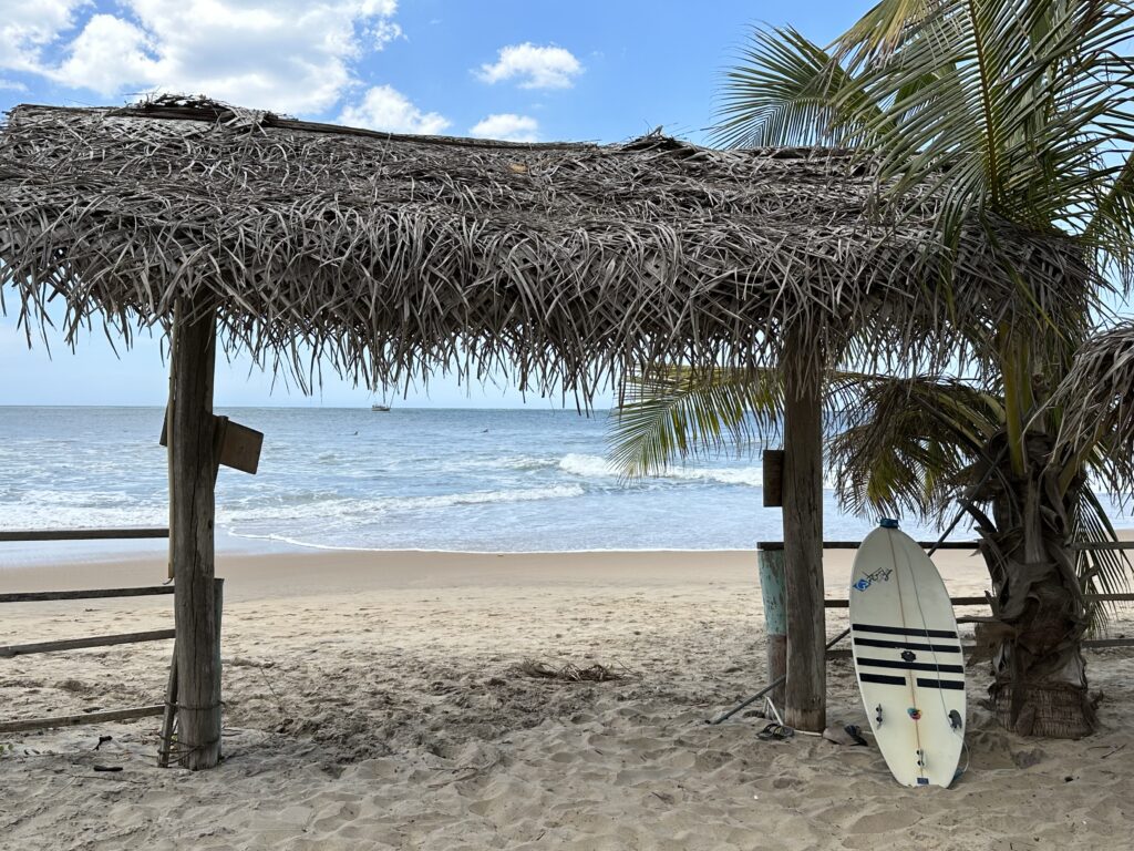 Visiter le Sri Lanka : 10 raisons de choisir cette destination incroyable img 5374