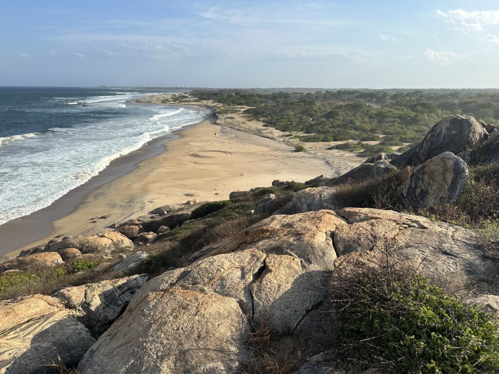 Visiter le Sri Lanka : 10 raisons de choisir cette destination incroyable img 5704