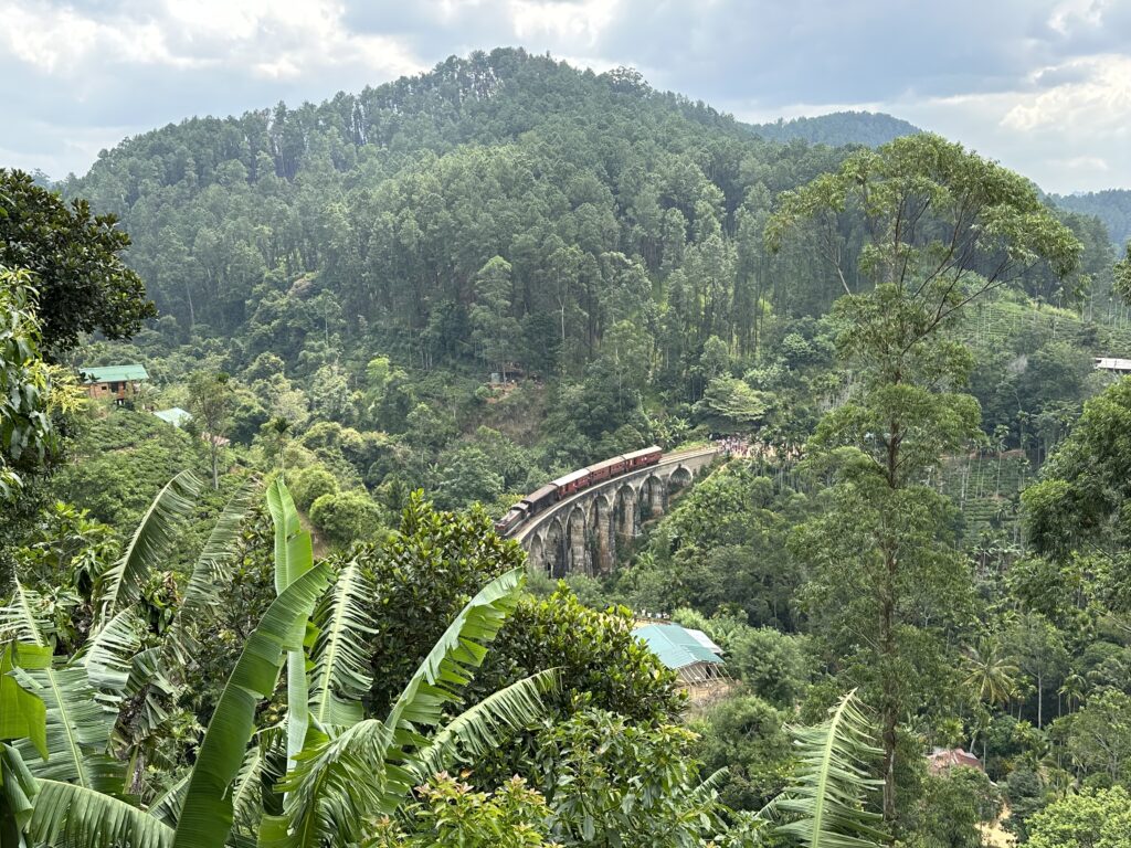 Visiter le Sri Lanka : 10 raisons de choisir cette destination incroyable img 5873