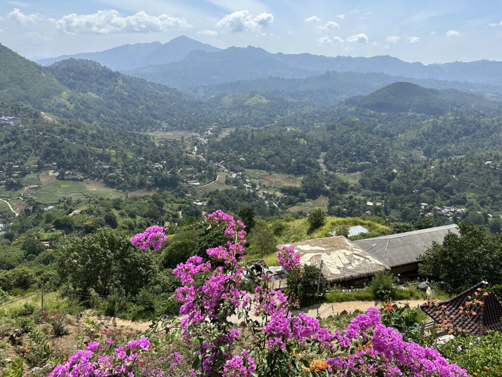 Visiter le Sri Lanka : 10 raisons de choisir cette destination incroyable img 5952