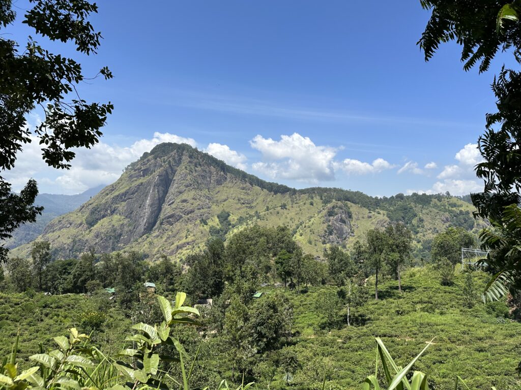 Visiter le Sri Lanka : 10 raisons de choisir cette destination incroyable img 6066