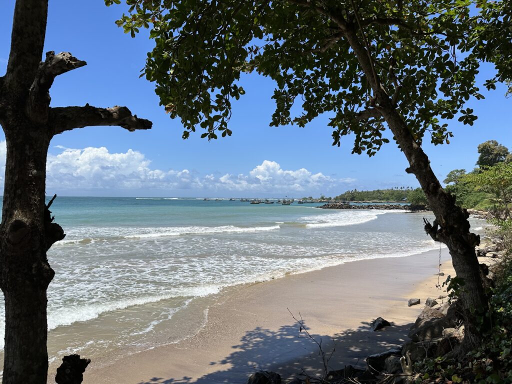 Visiter le Sri Lanka : 10 raisons de choisir cette destination incroyable img 6530