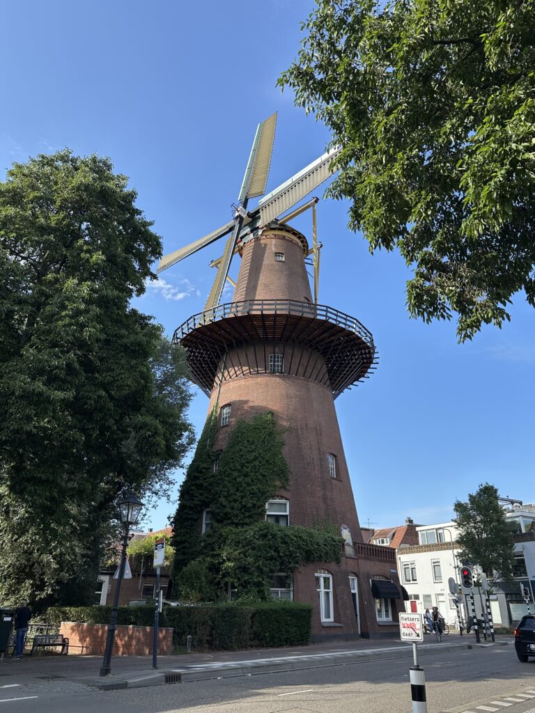 img 9781