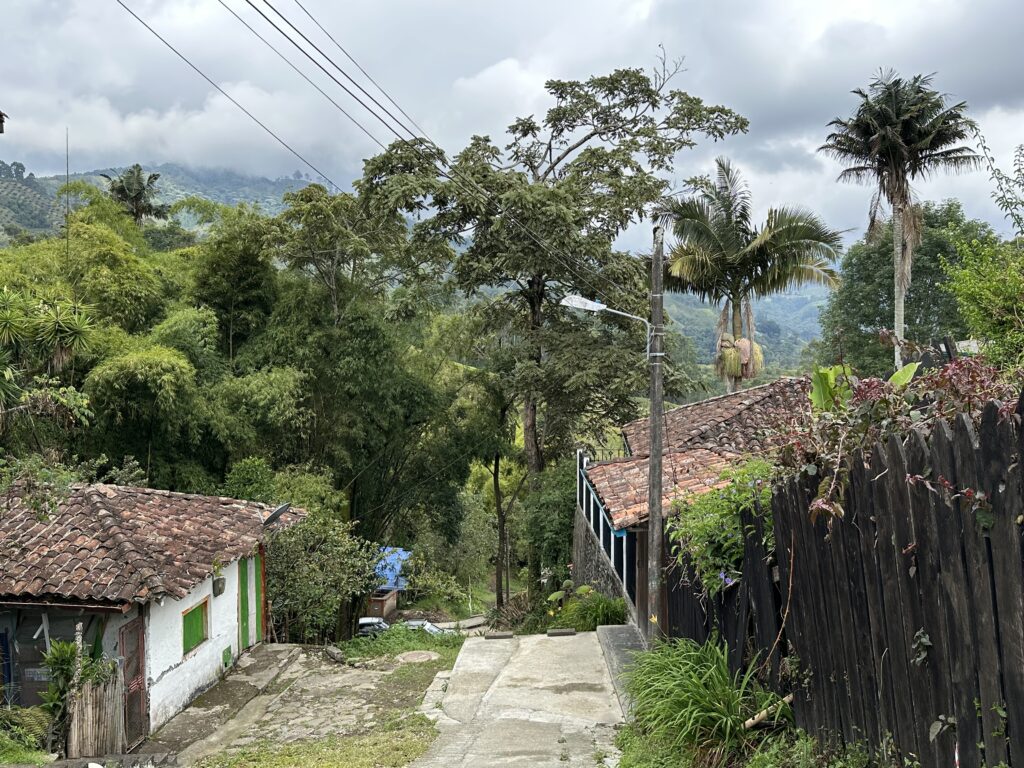 Visiter Salento et la Vallée de Cocora : Notre itinéraire de 4 jours et conseils pratiques Vue depuis les marches qui mènent au Mirador Alto de la Cruz, Salento