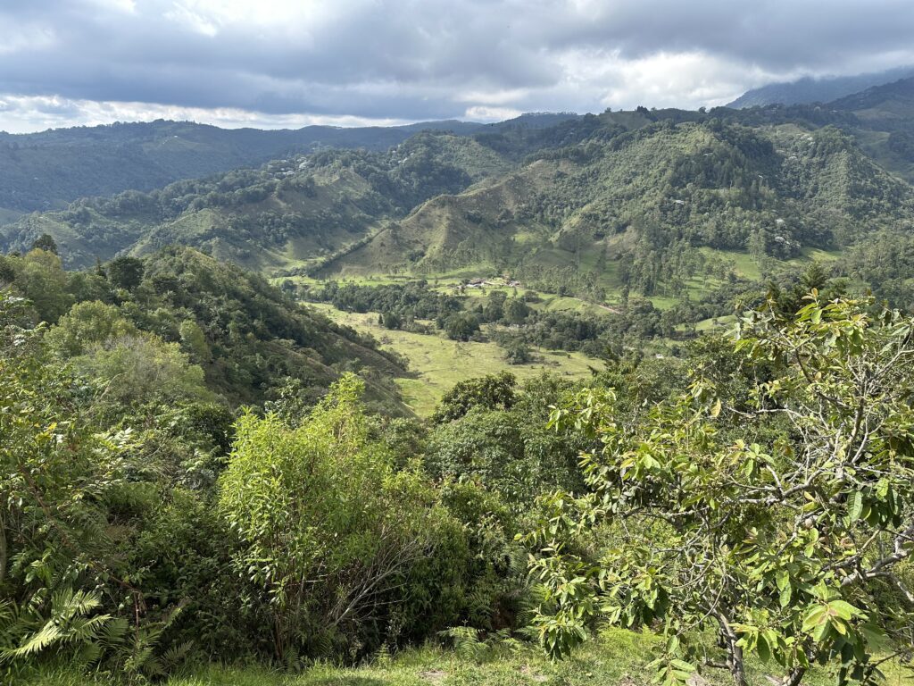 Visiter Salento et la Vallée de Cocora : Notre itinéraire de 4 jours et conseils pratiques Vue depuis le Mirador de Salento