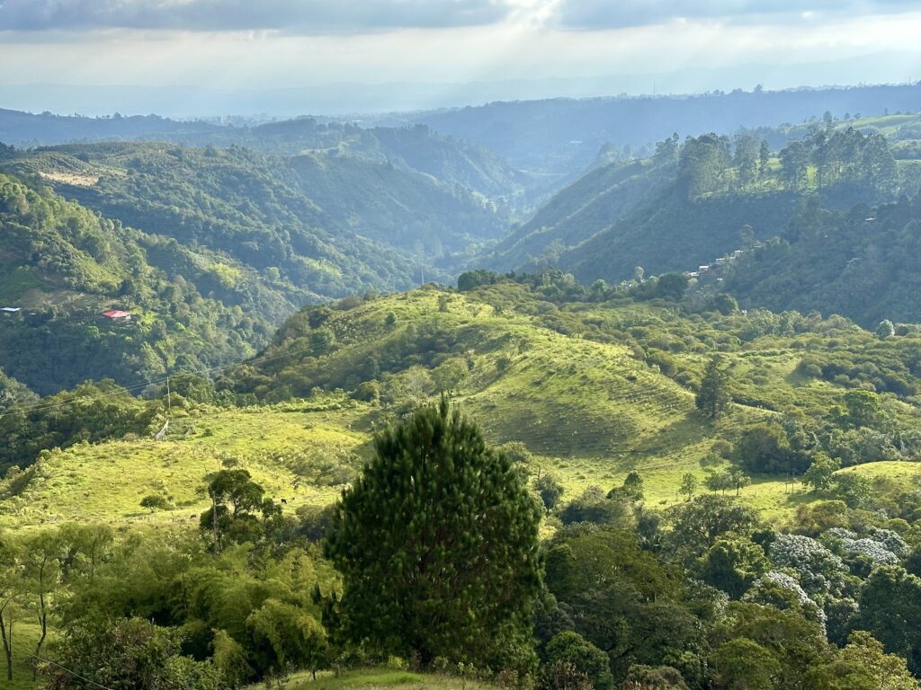 Visiter Salento et la Vallée de Cocora : Notre itinéraire de 4 jours et conseils pratiques img 0318