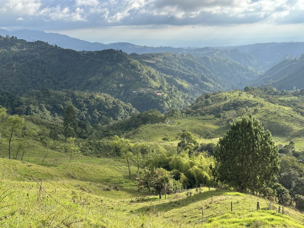 Visiter Salento et la Vallée de Cocora : Notre itinéraire de 4 jours et conseils pratiques img 0322