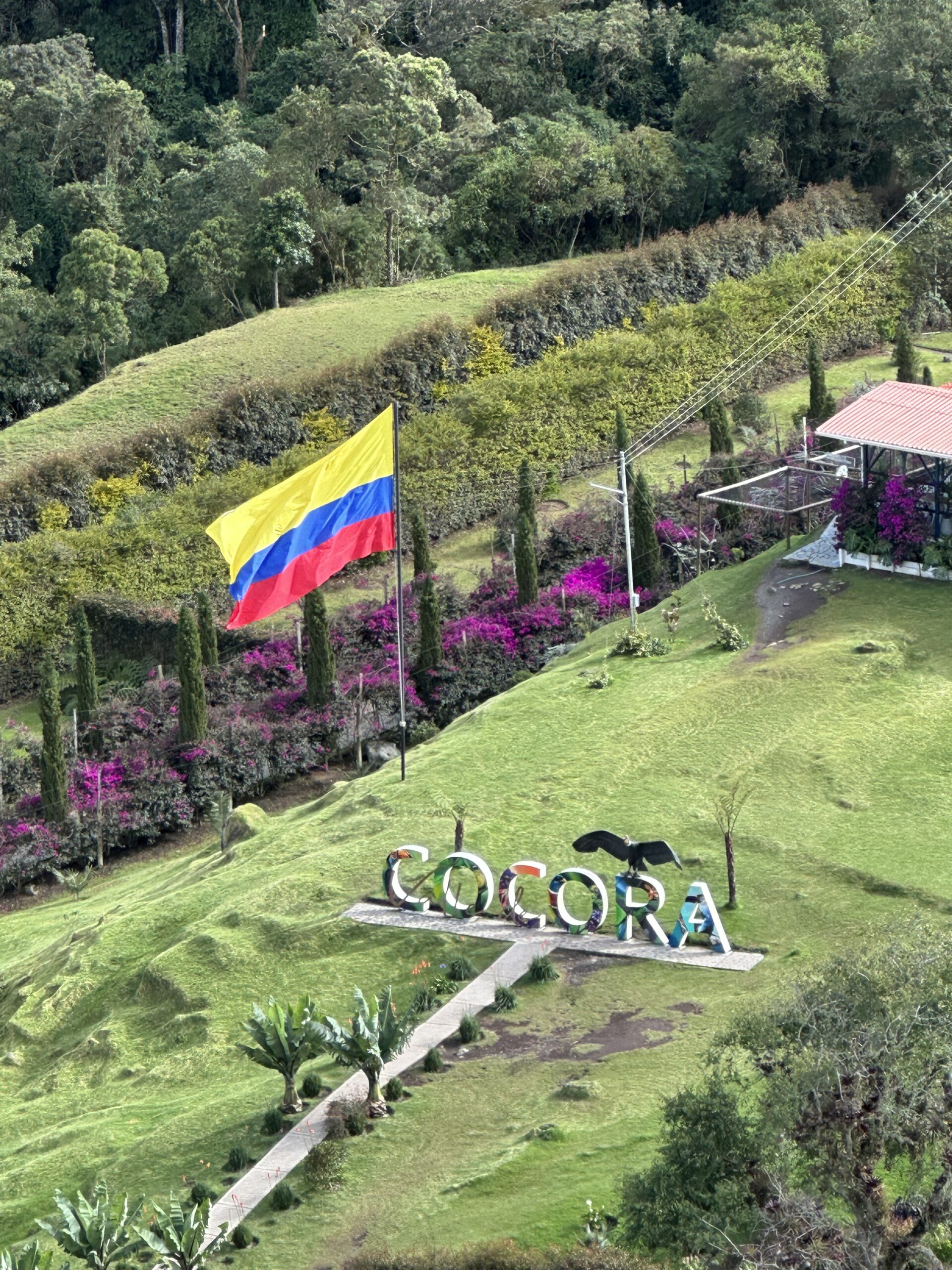 Visiter Salento et la Vallée de Cocora : Notre itinéraire de 4 jours et conseils pratiques