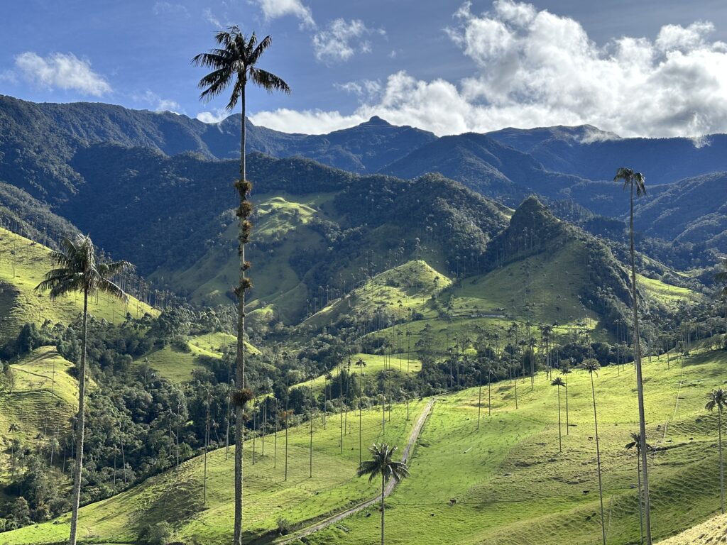 Visiter Salento et la Vallée de Cocora : Notre itinéraire de 4 jours et conseils pratiques img 0383