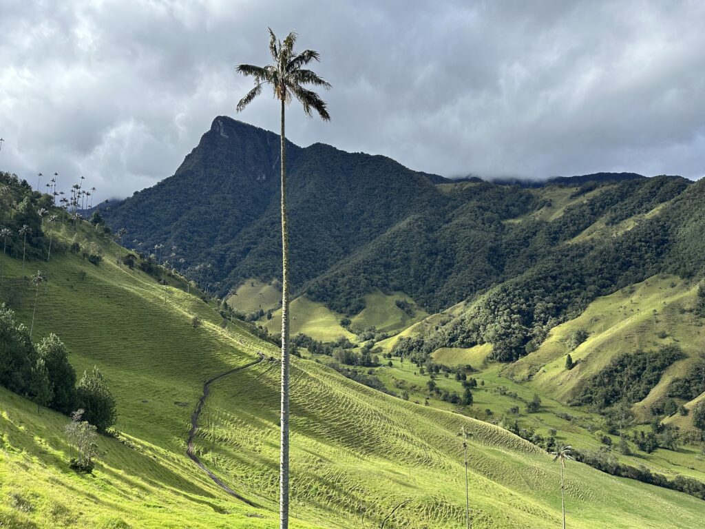 Visiter Salento et la Vallée de Cocora : Notre itinéraire de 4 jours et conseils pratiques img 0389
