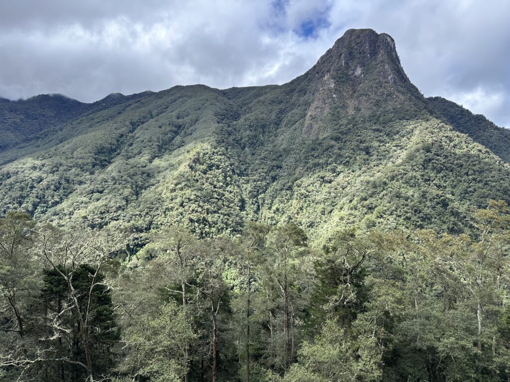 Visiter Salento et la Vallée de Cocora : Notre itinéraire de 4 jours et conseils pratiques img 0429