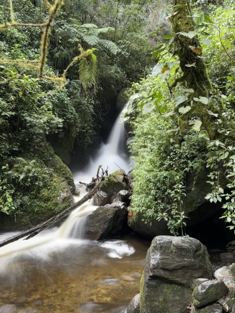 Visiter Salento et la Vallée de Cocora : Notre itinéraire de 4 jours et conseils pratiques img 0473