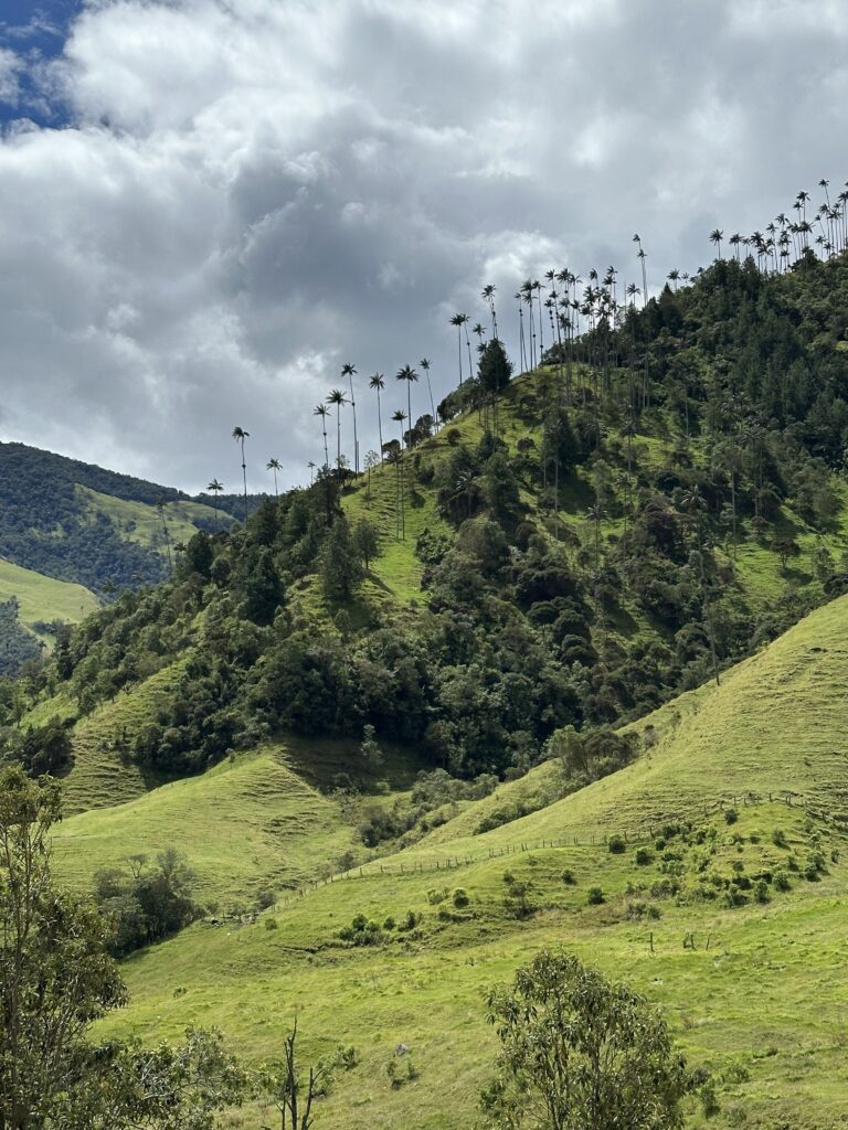 Visiter Salento et la Vallée de Cocora : Notre itinéraire de 4 jours et conseils pratiques img 0486