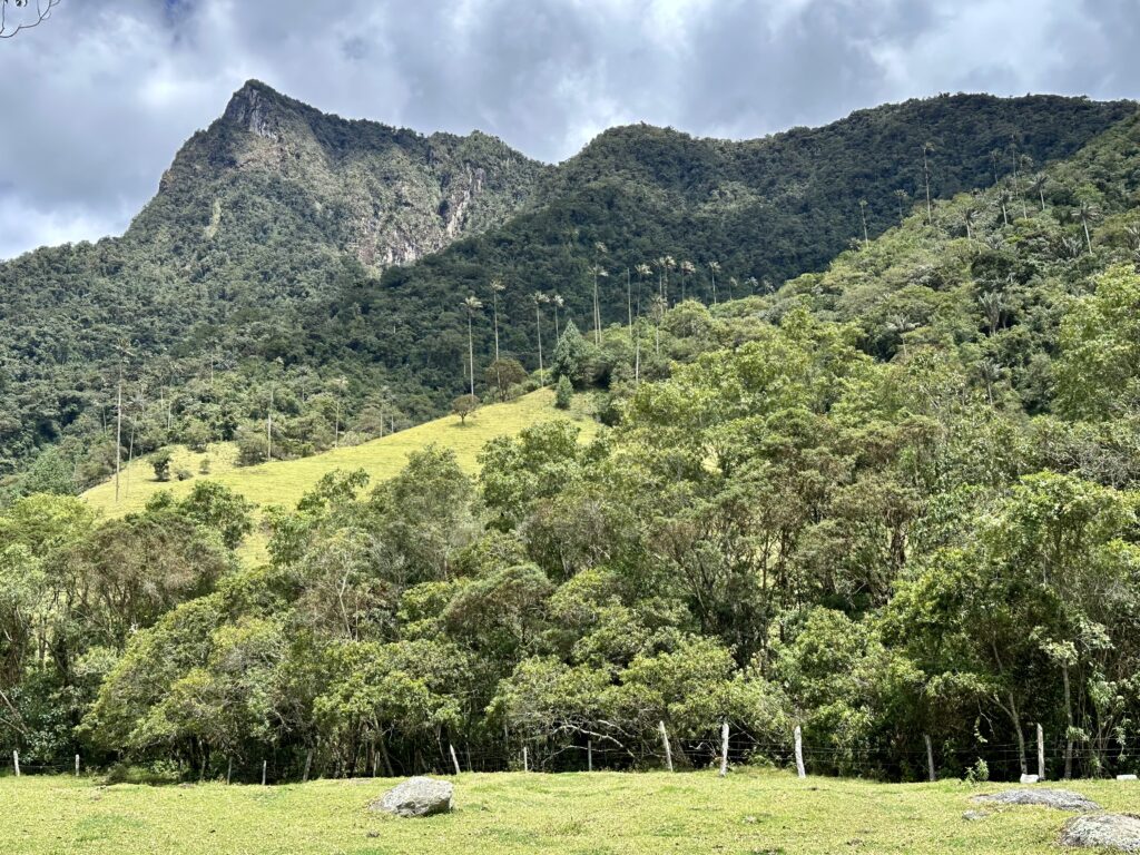 Visiter Salento et la Vallée de Cocora : Notre itinéraire de 4 jours et conseils pratiques img 0490