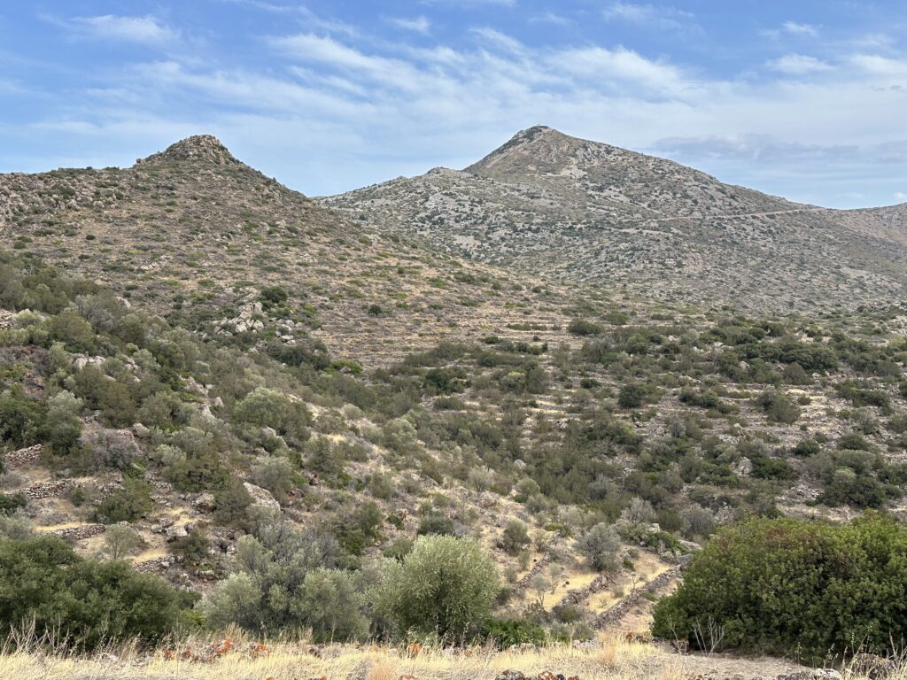 2 jours sur l’île d’Égine : une parenthèse grecque facile depuis Athènes (sans voiture) img 2466