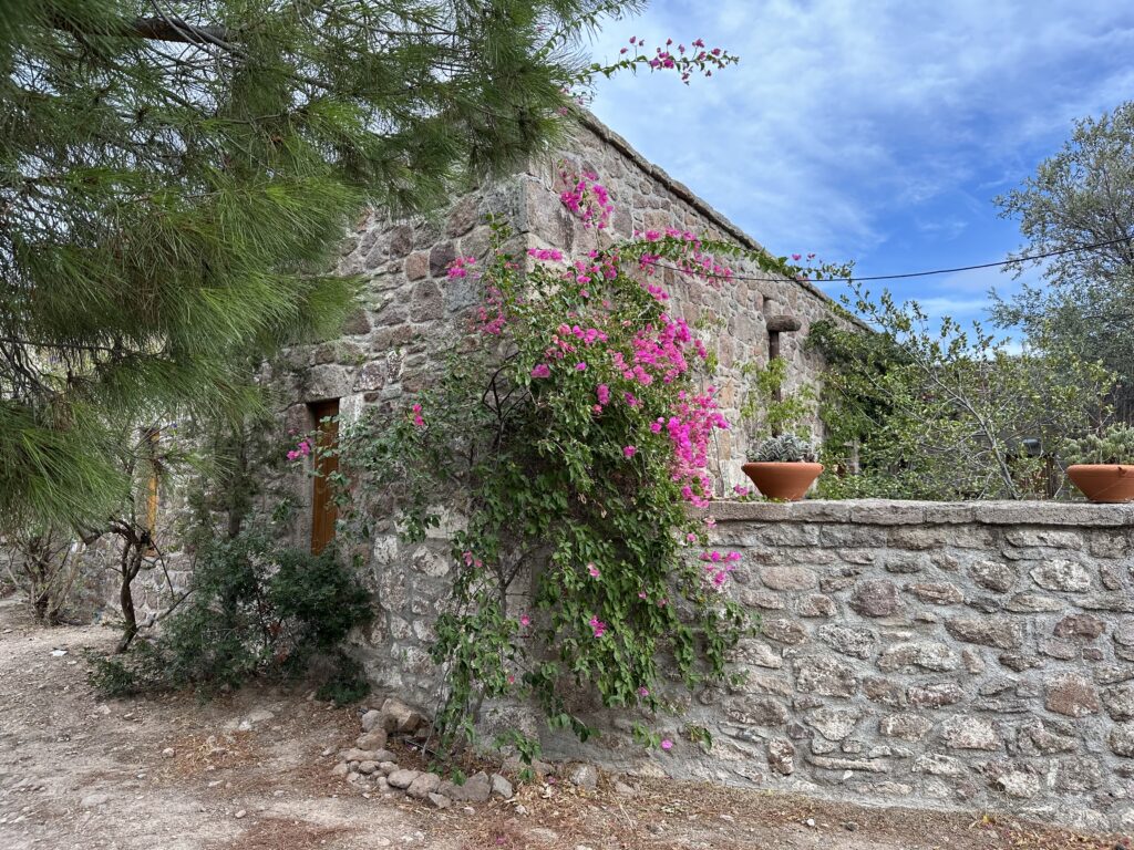 2 jours sur l’île d’Égine : une parenthèse grecque facile depuis Athènes (sans voiture) img 2467
