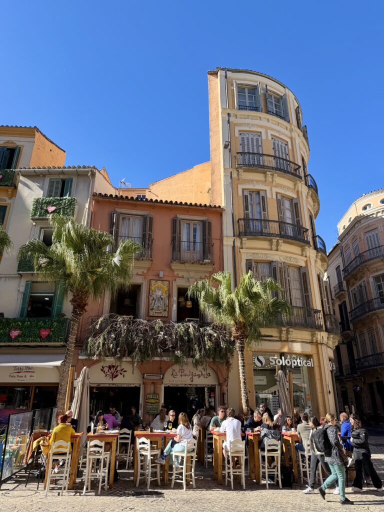 img 6279