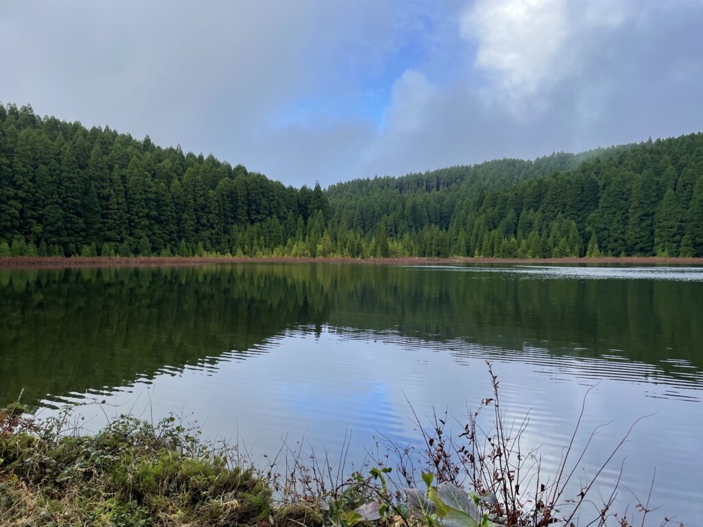 Road trip aux Açores : Notre top 10 des choses à voir sur l’île de São Miguel img 8730