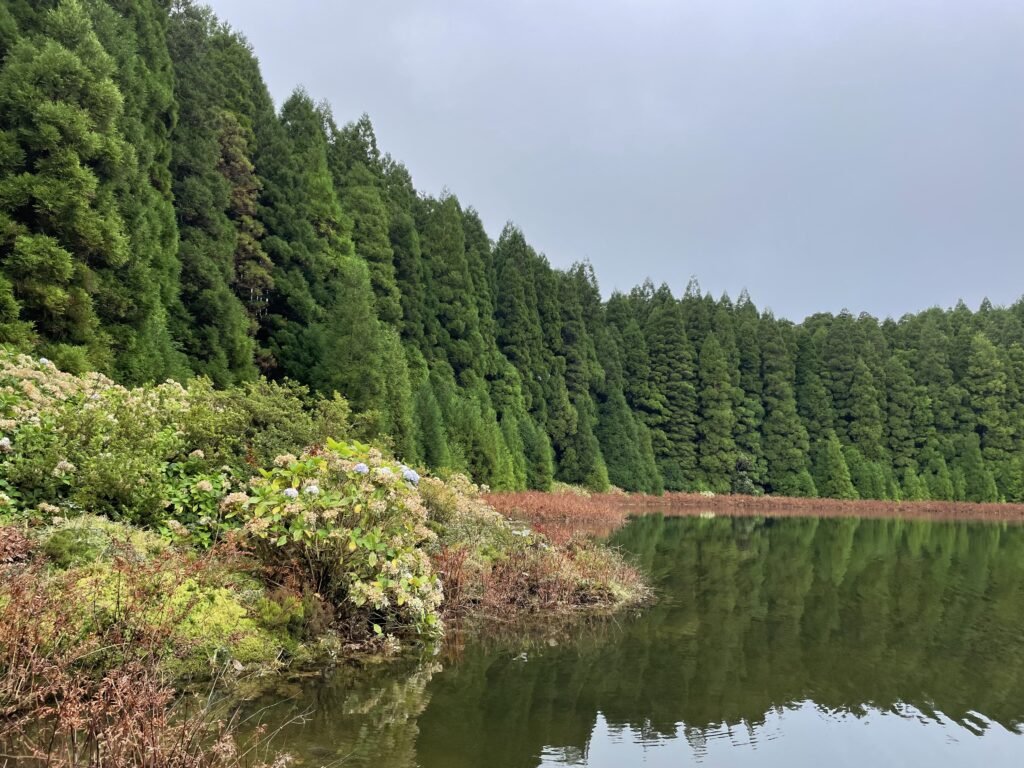 Road trip aux Açores : Notre top 10 des choses à voir sur l’île de São Miguel img 8734