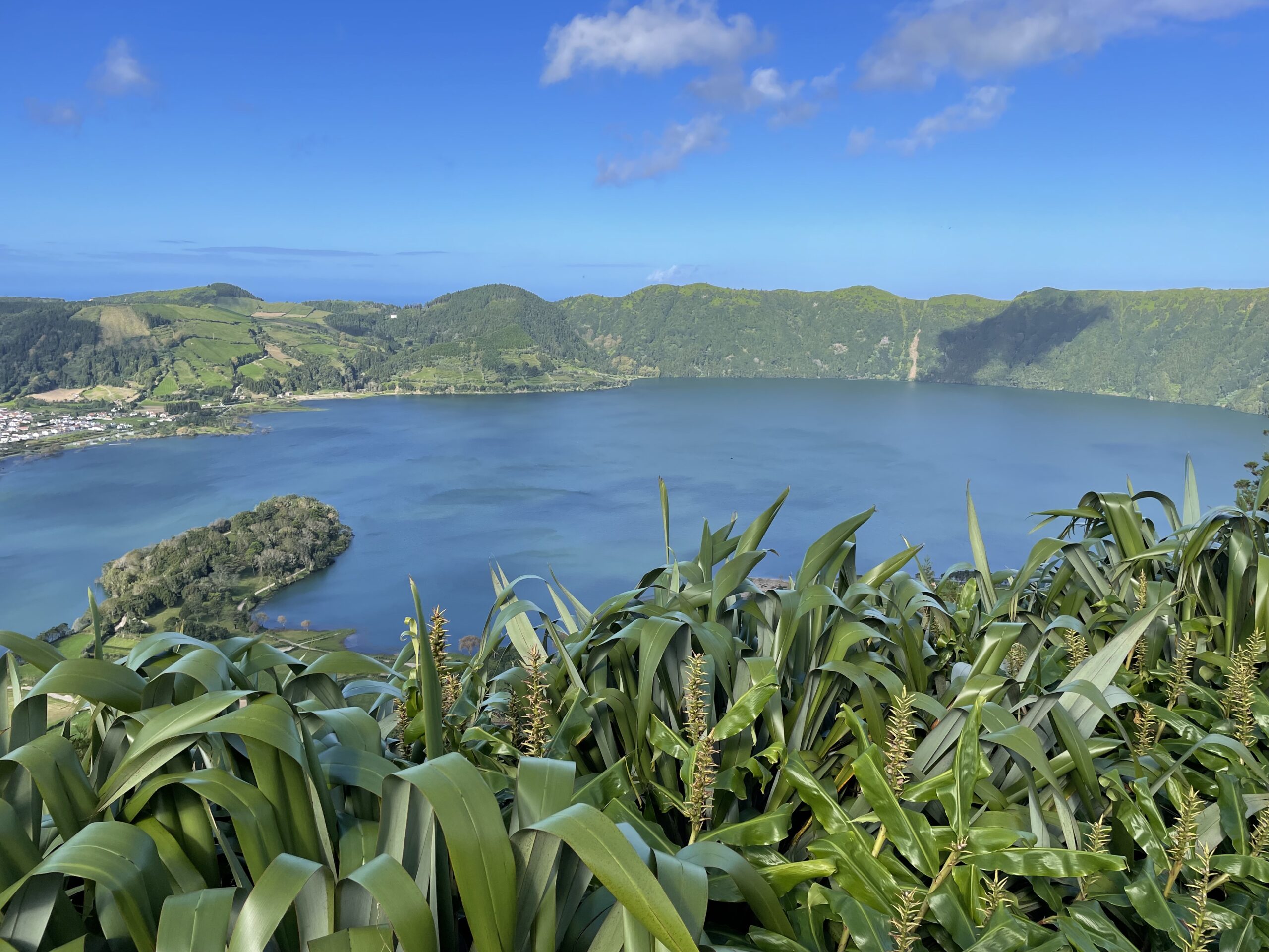 Road trip aux Açores : Notre top 10 des choses à voir sur l’île de São Miguel img 8826