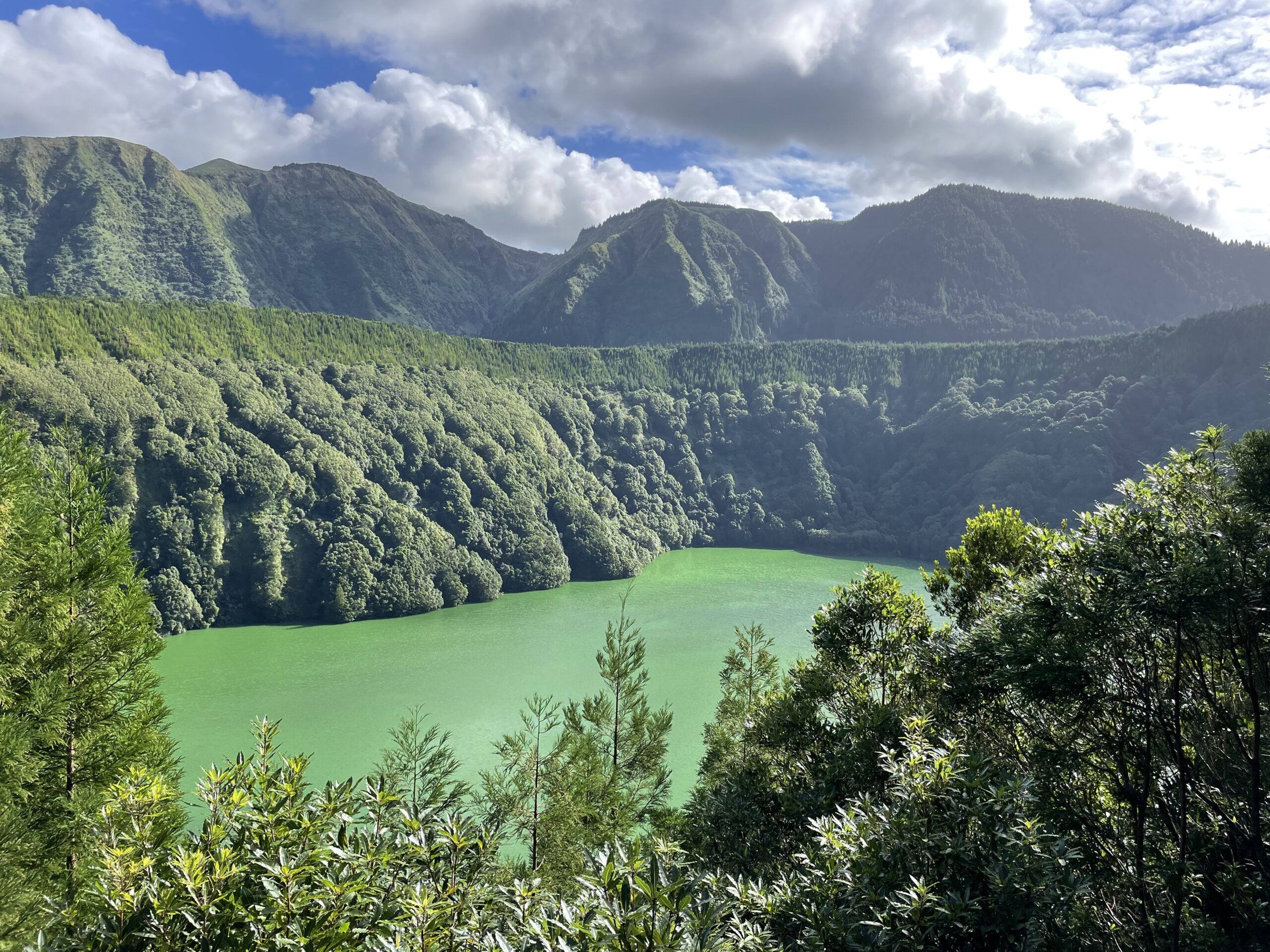 Road trip aux Açores : Notre top 10 des choses à voir sur l’île de São Miguel img 8831