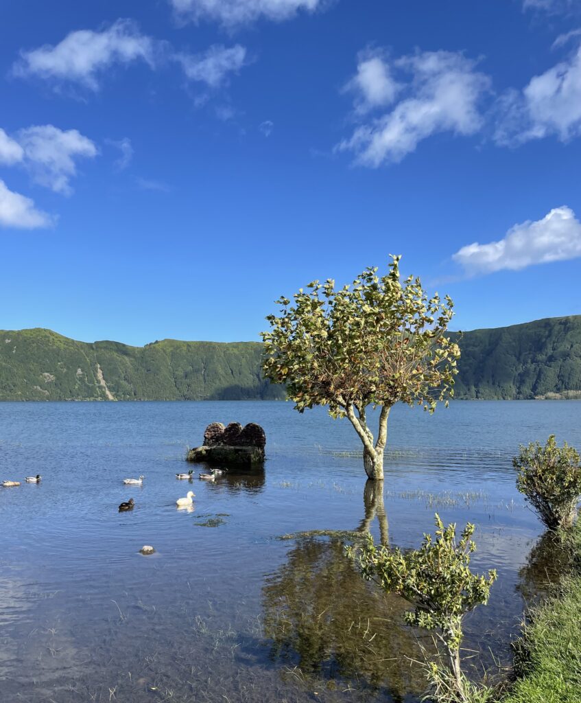 Road trip aux Açores : Notre top 10 des choses à voir sur l’île de São Miguel img 8840