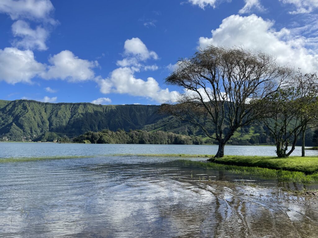 Road trip aux Açores : Notre top 10 des choses à voir sur l’île de São Miguel img 8847