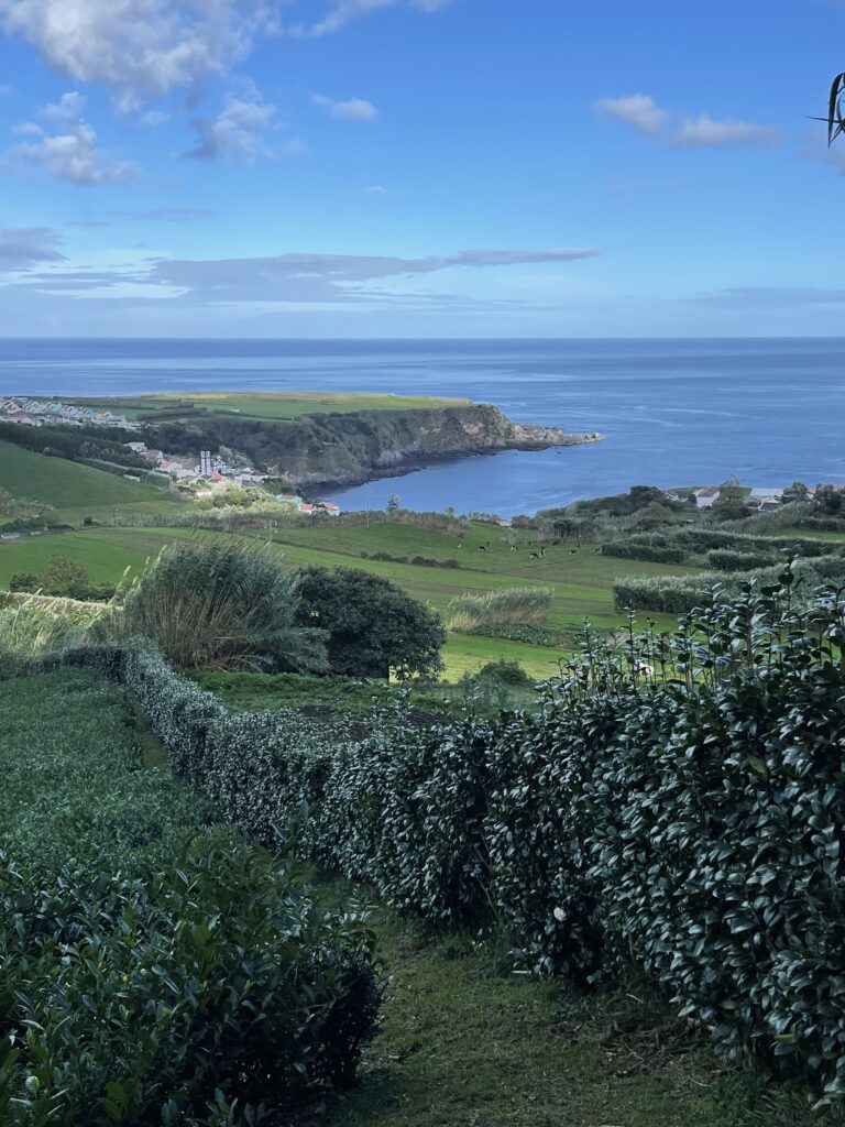 Road trip aux Açores : Notre top 10 des choses à voir sur l’île de São Miguel img 9060