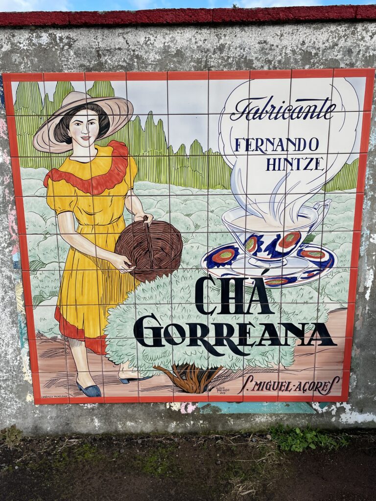 Road trip aux Açores : Notre top 10 des choses à voir sur l’île de São Miguel img 9071