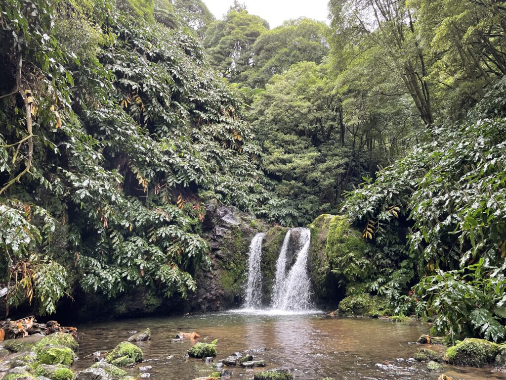 Road trip aux Açores : Notre top 10 des choses à voir sur l’île de São Miguel img 9154