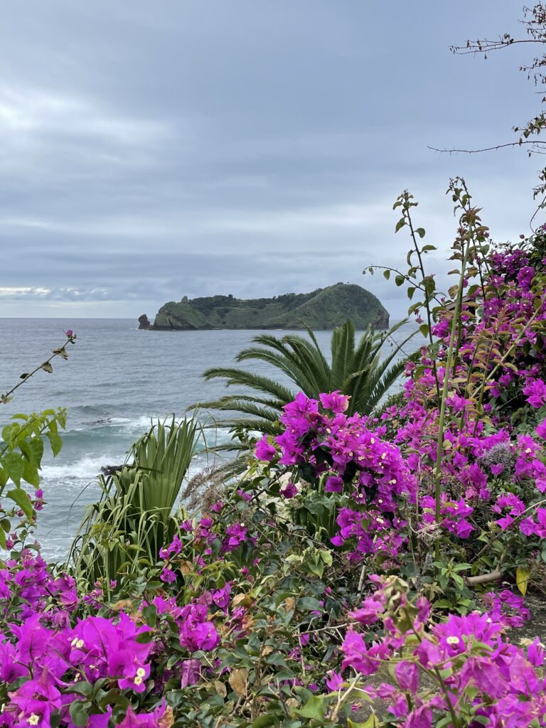 Road trip aux Açores : Notre top 10 des choses à voir sur l’île de São Miguel img 9333