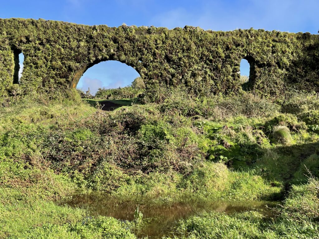 Road trip aux Açores : Notre top 10 des choses à voir sur l’île de São Miguel img 9742
