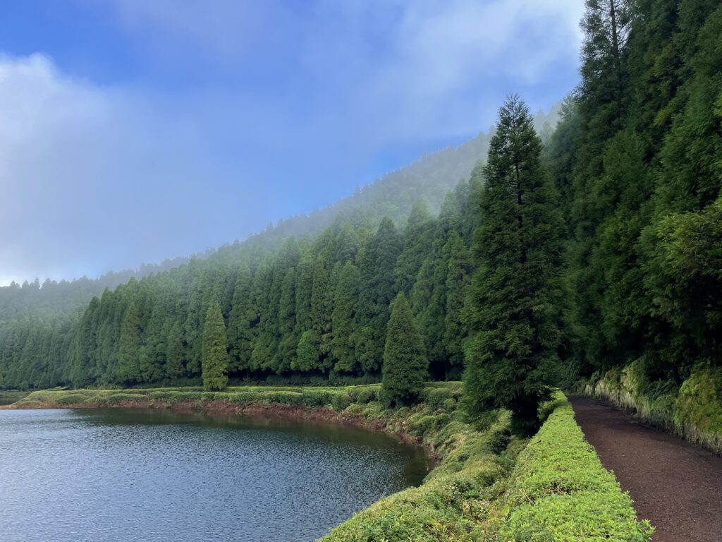 Road trip aux Açores : Notre top 10 des choses à voir sur l’île de São Miguel img 9764