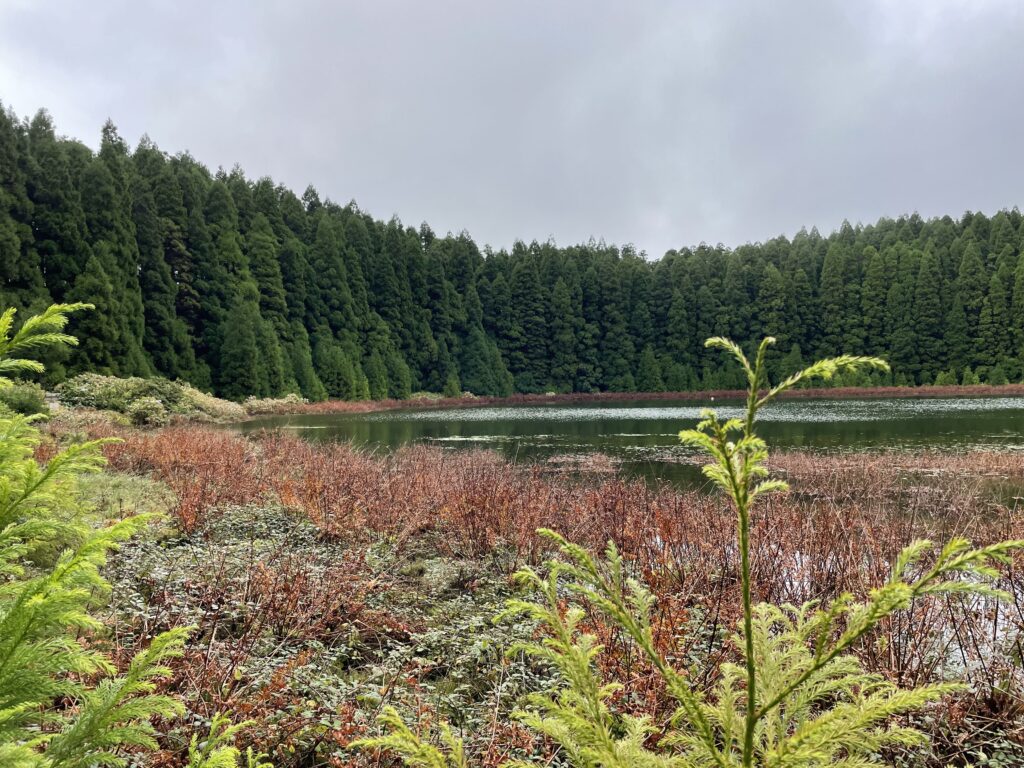 Road trip aux Açores : Notre top 10 des choses à voir sur l’île de São Miguel img 9806