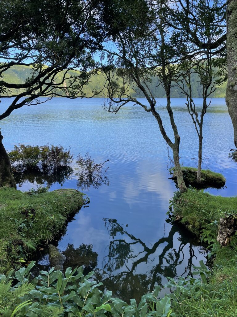 Road trip aux Açores : Notre top 10 des choses à voir sur l’île de São Miguel img 9844