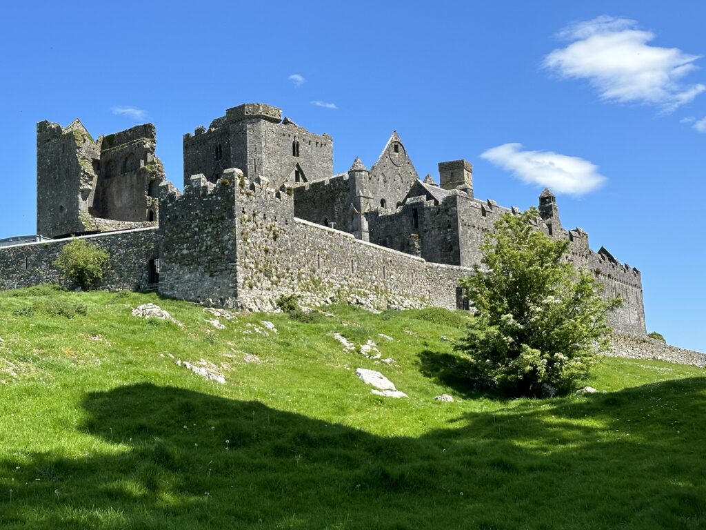 img 0459
