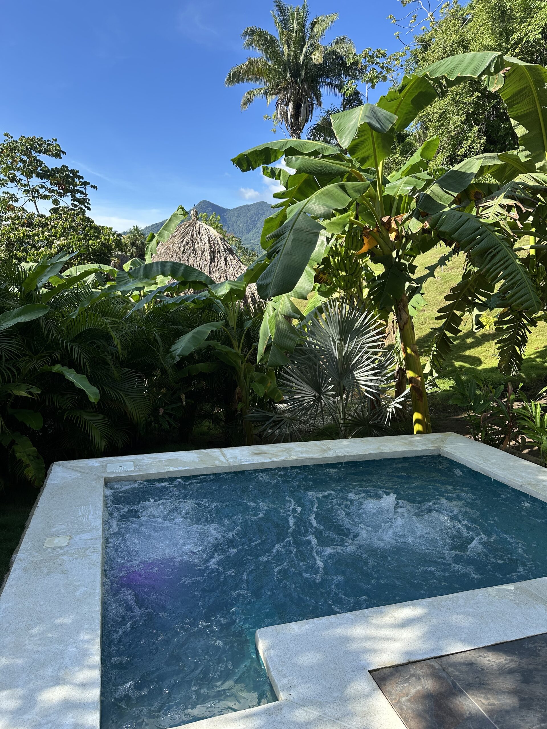 Photo de notre piscine privative au Colibri Parque Tayrona