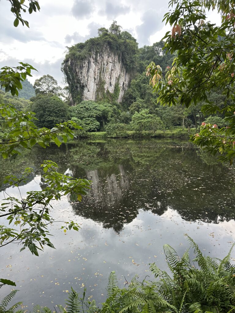 Visiter Ipoh en 1,5 jour : que faire et itinéraire détaillé img 7744
