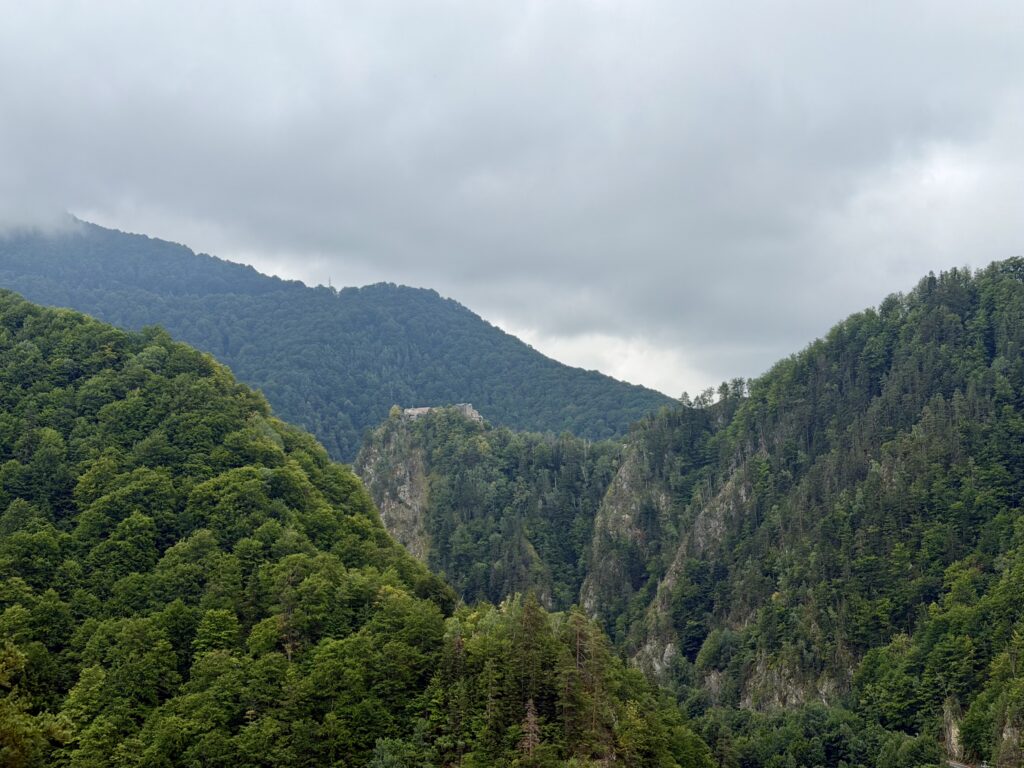 img 7611