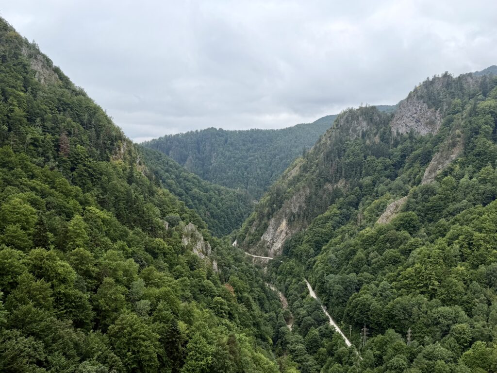 img 7630