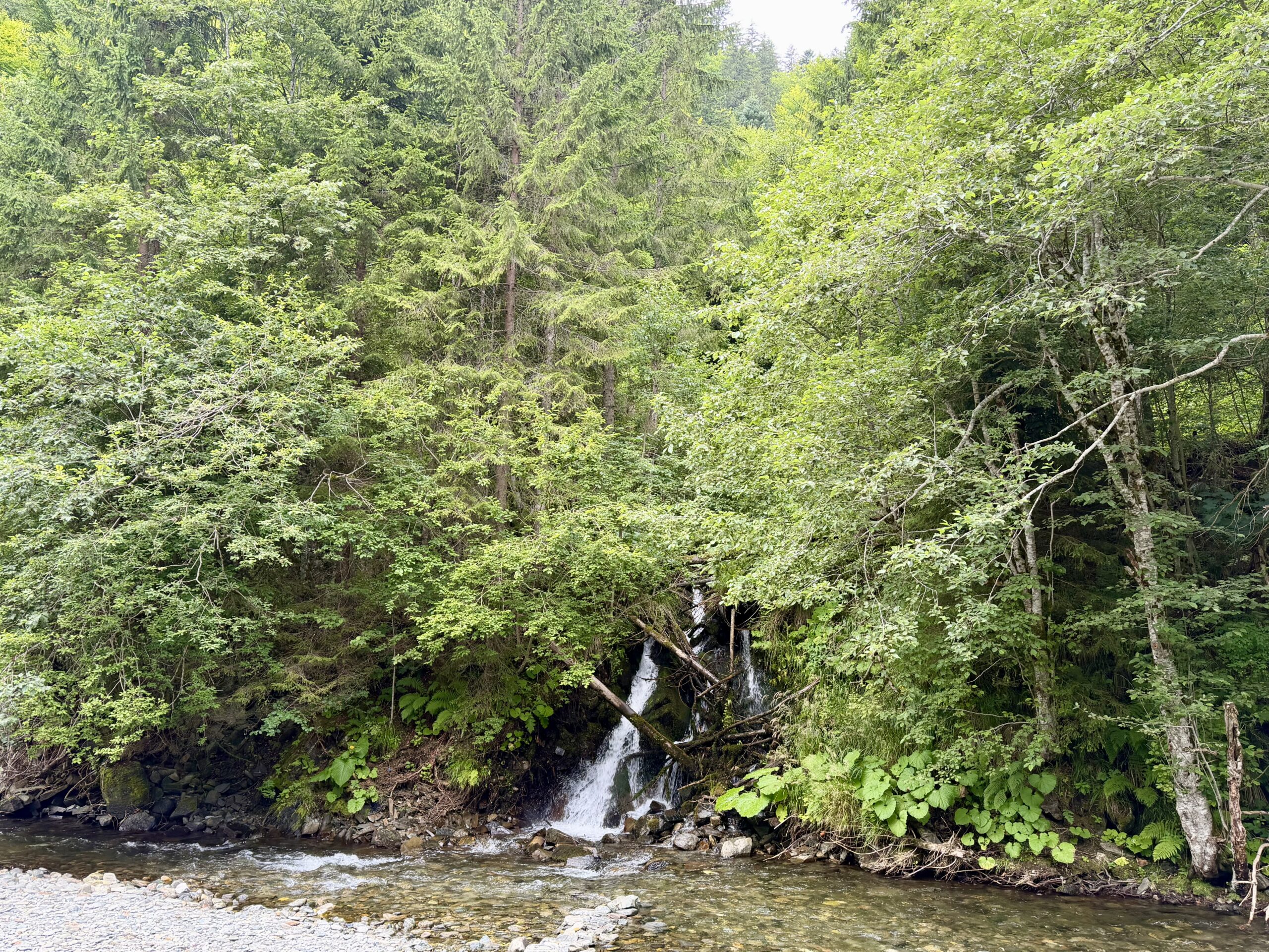 img 7648