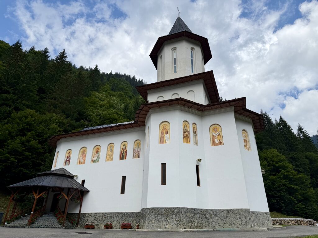 img 7651