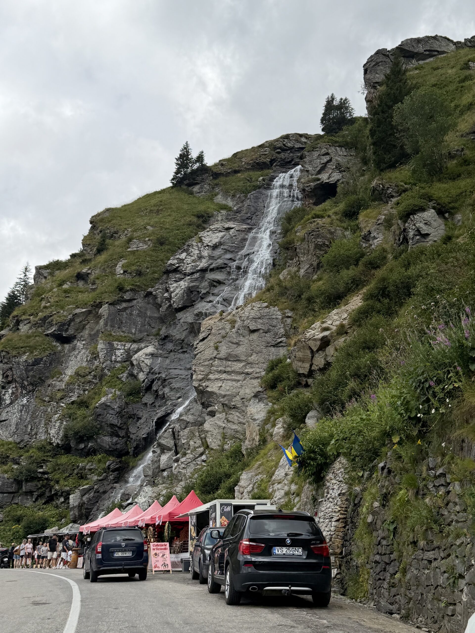img 7676